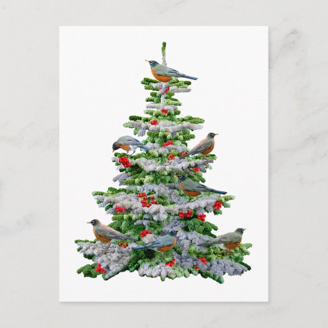 Carte Postale Robin Arbre (Devant)