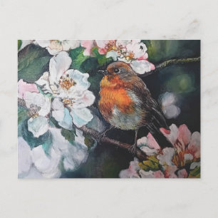 Carte Postale Robin aux fleurs de cerisier