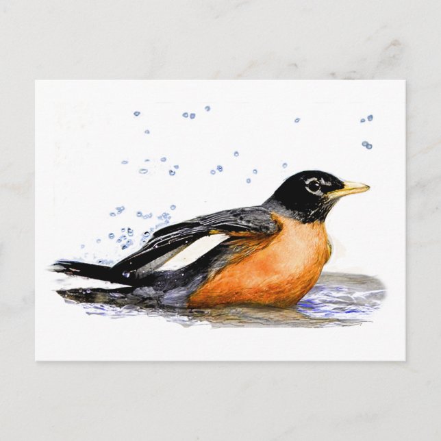 Carte Postale Robin Baigning (Devant)