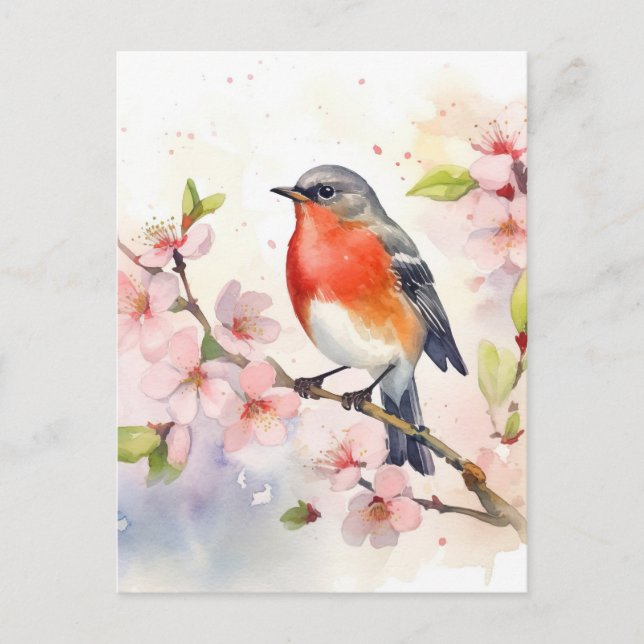 Carte Postale Robin d'aquarelle sur la branche de fleur de ceris (Devant)