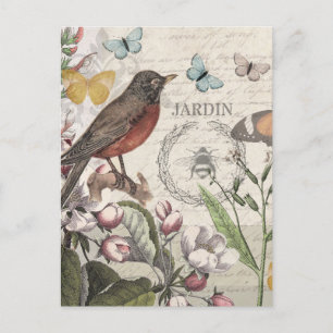 Carte Postale Robin Elegant Bird Butterfly French Art
