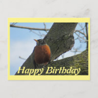Robin In Tree Photo Anniversaire