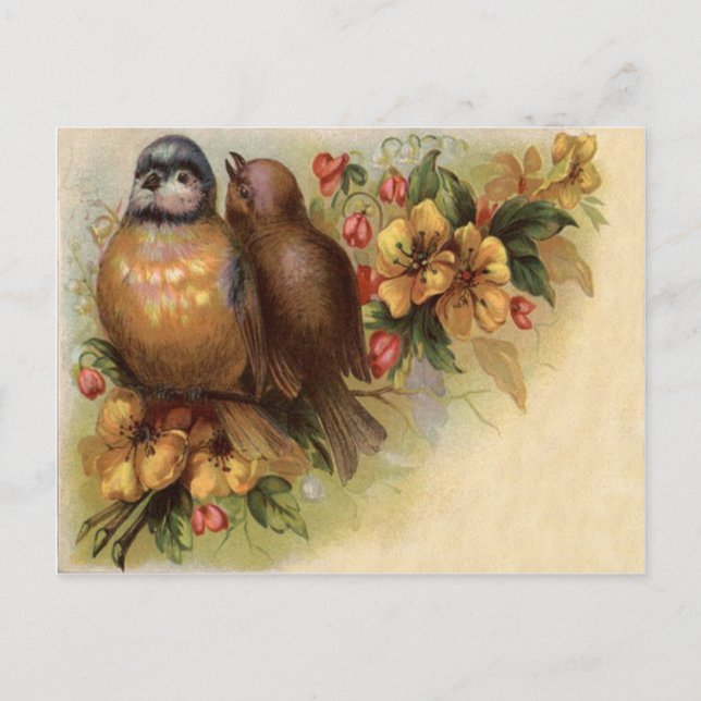 Carte Postale Robin Oiseau Jaune Fleur rouge (Devant)