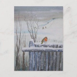 Carte Postale Robin Red Breast