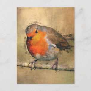 Carte Postale Robin Redmamin