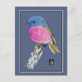 Carte Postale Robin rose Colorful Petit Oiseau