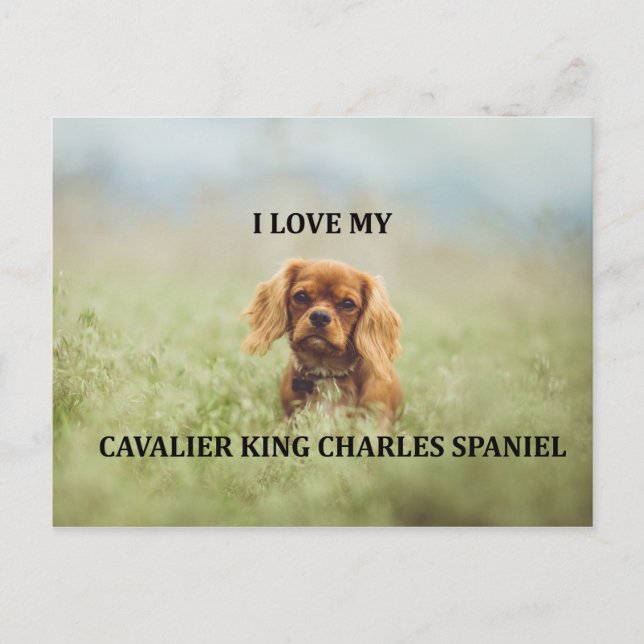 Carte Postale rocher ruby love w pic (Devant)