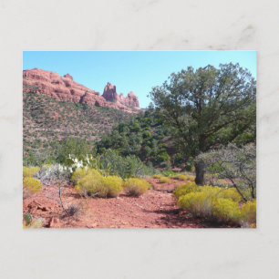 Carte Postale Rochers rouges et Cactus II à Sedona Arizona
