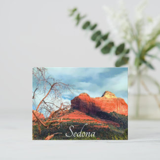 Carte Postale Roches rouges pittoresques de Sedona