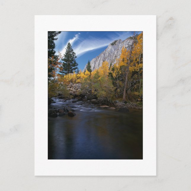 Carte Postale "Rock Creek Canyon Gold" (Devant)