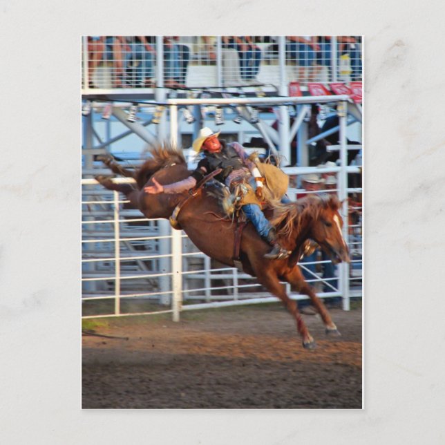 Carte Postale Rodéo ! (Devant)