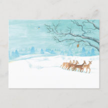 Roe Deer Group en hiver