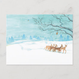 Carte Postale Roe Deer Group en hiver