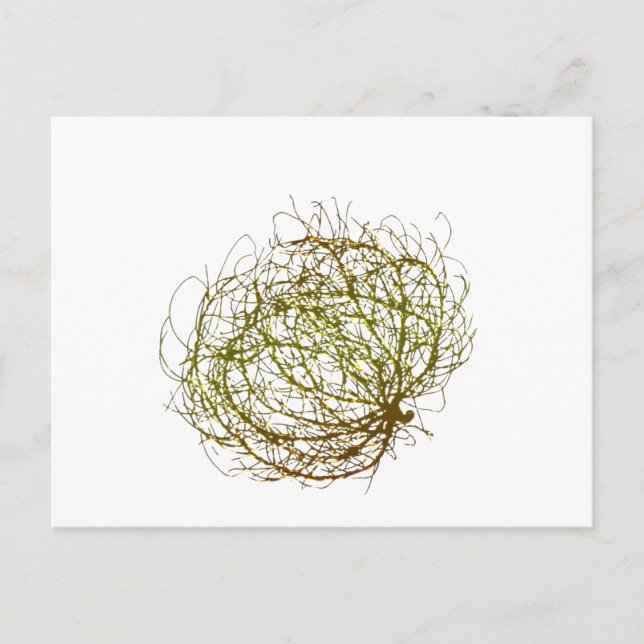Carte Postale Rolling Golden Tumbleweed Art Plante (Devant)