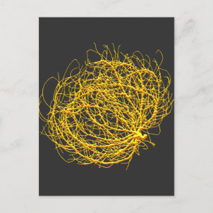 Carte Postale RollinGolden Tumbleweed Plante Art original
