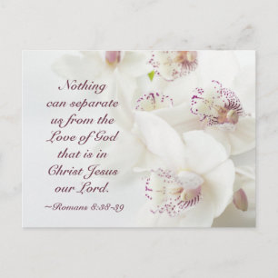 Carte Postale Romains 8:39 Amour de Dieu Bible Orchidées Blanche