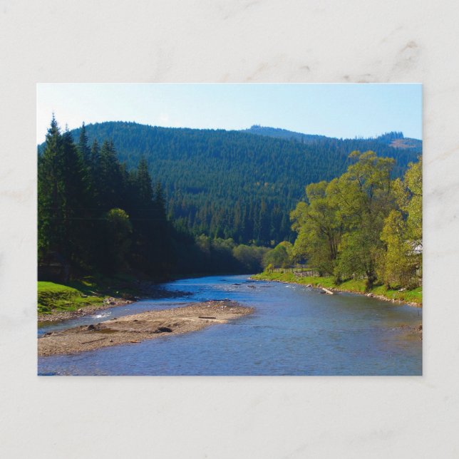 Carte Postale Romania, Moldova, rivière among the pine forest (Devant)