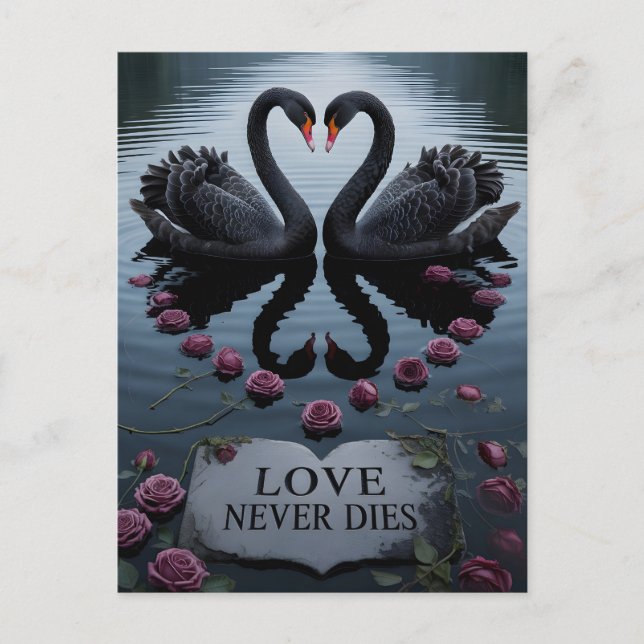 Carte Postale Romantic Black Swans Heart Reflection with Text (Devant)