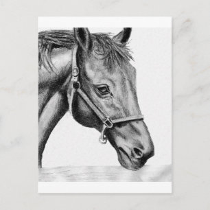 Carte Postale Roméo