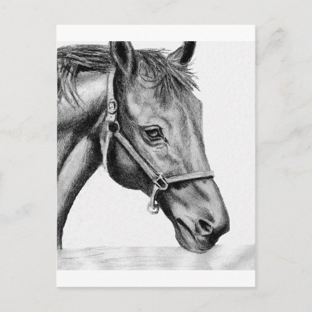 Carte Postale Roméo (Devant)