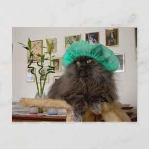 Carte Postale Roméo