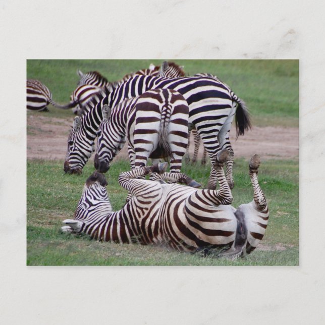 Carte Postale Rompre à propos (Devant)