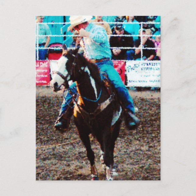 Carte Postale Roper sur un Pinto (Devant)