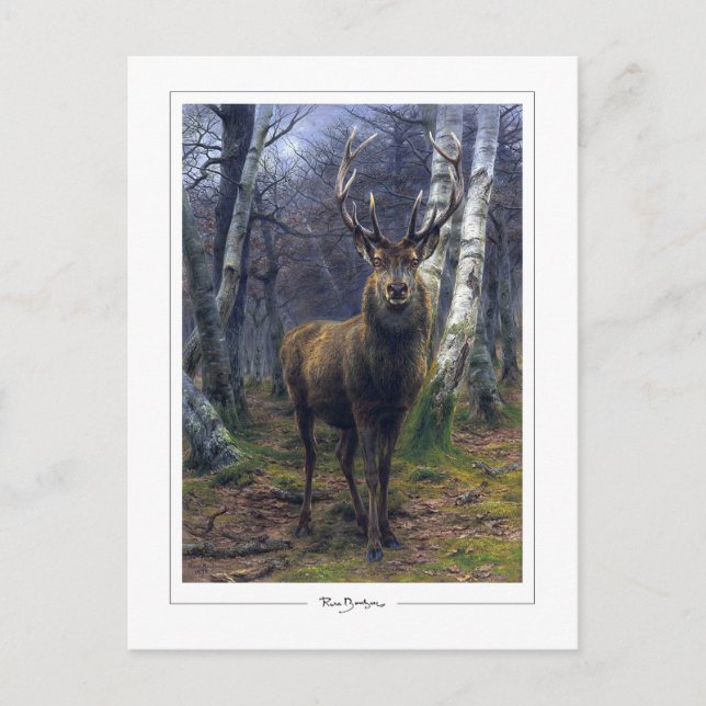 Carte Postale Rosa Bonheur #5 - Beaux-arts (Devant)