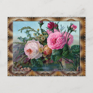 Carte Postale Rosa Centifolia rose