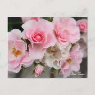 Carte Postale Rosa Cerezo