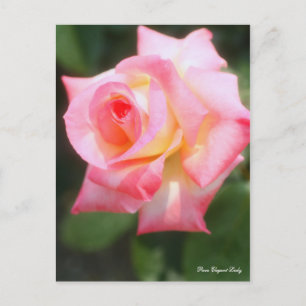 Carte Postale Rosa Elegant Lady [Carte postale]
