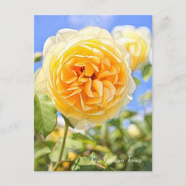 Carte Postale Rosa Graham Tomas [Carte postale] (Devant)