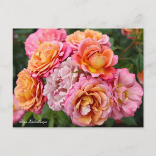Carte Postale Rosa Kaleidoscope [Carte postale]