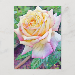 Carte Postale Rosa Peace [Carte postale]
