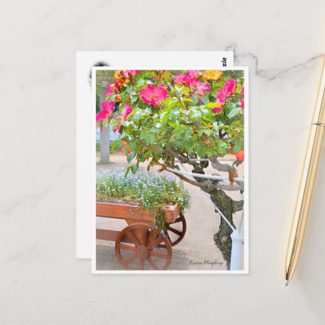 Carte Postale Rosa Playboy (Devant/Arrière en situation)