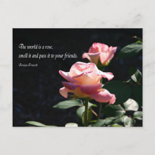 Carte Postale rose