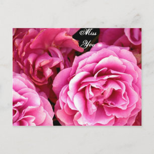 CARTE POSTALE ROSE_