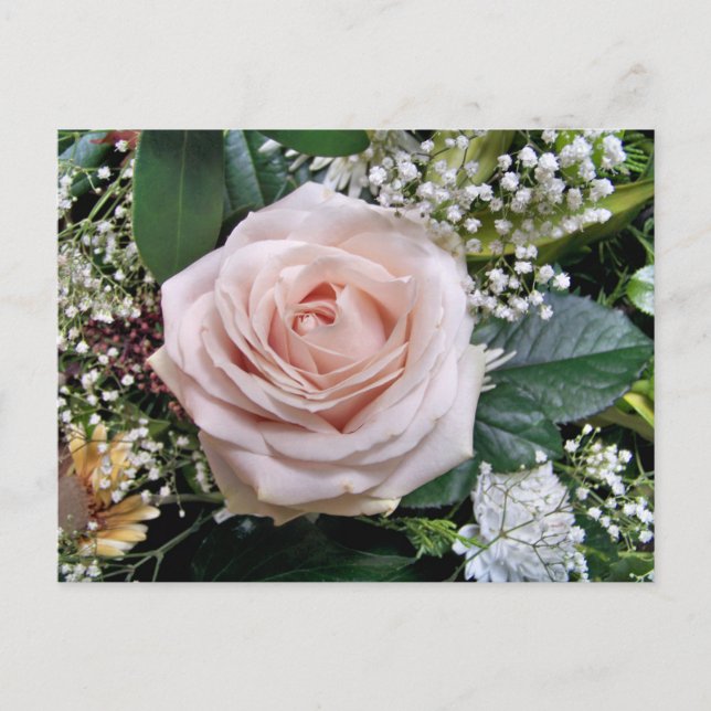 CARTE POSTALE ROSE (Devant)