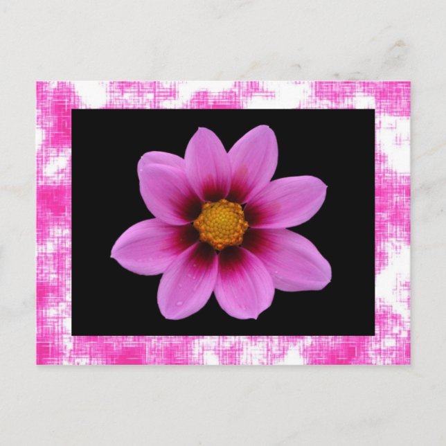 Carte postale rose (Devant)