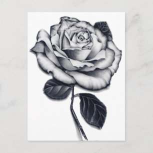 Carte postale rose