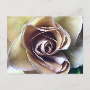CARTE POSTALE ROSE