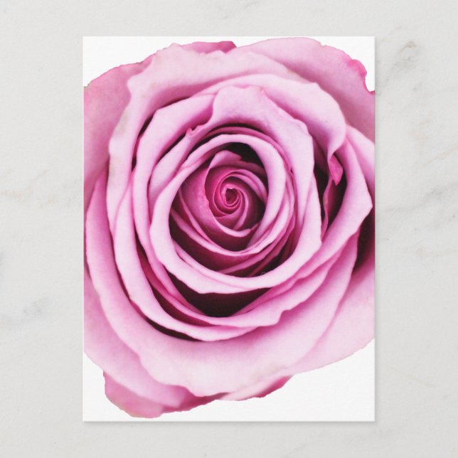 Carte postale rose (Devant)