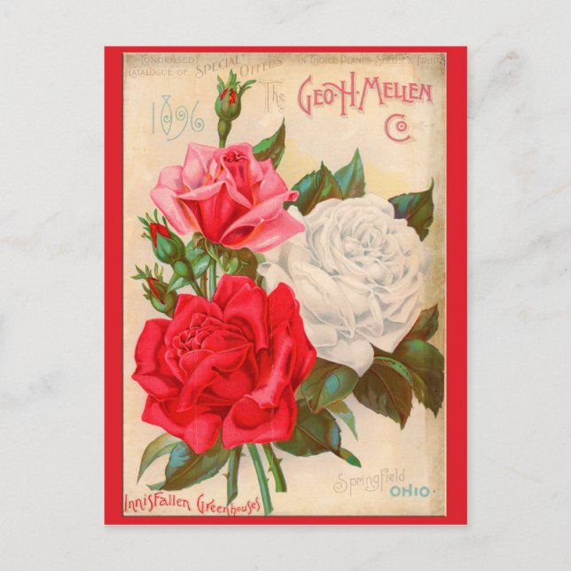 Carte Postale Rose (Devant)