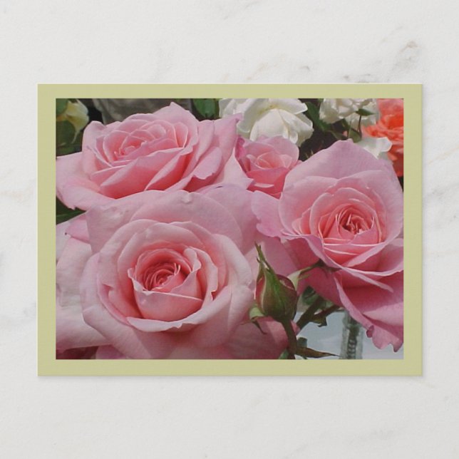 Carte postale rose (Devant)