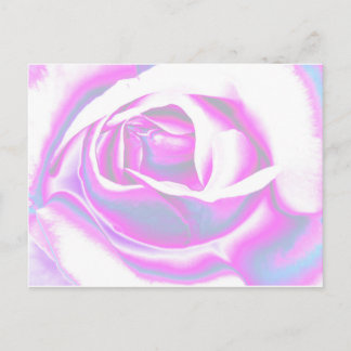 Carte Postale Rose
