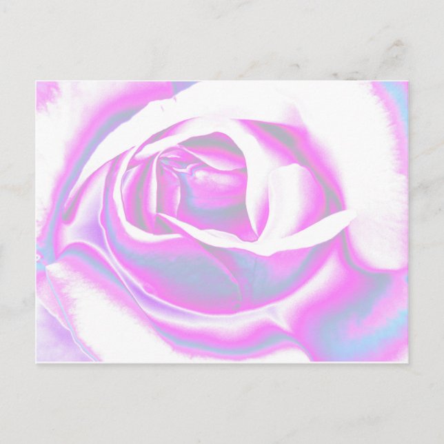 Carte Postale Rose (Devant)