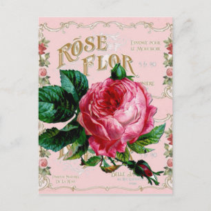Carte Postale Rose anglais SHABBYCHIC rose vintage
