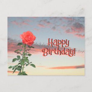 Carte postale - Rose au coucher du soleil