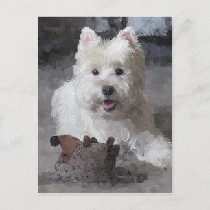 Carte Postale Rose Avec Un Nouveau Jouet