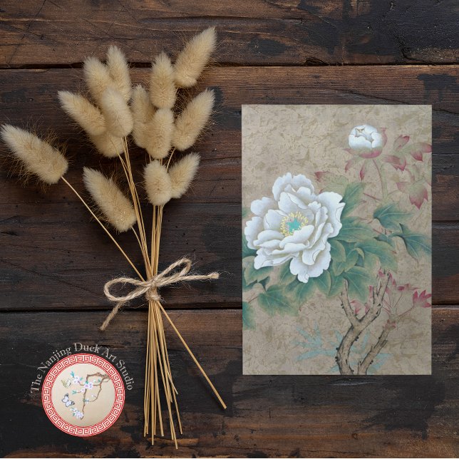Carte Postale Rose blanche (Créateur téléchargé)